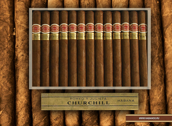 Churchill-6.jpg