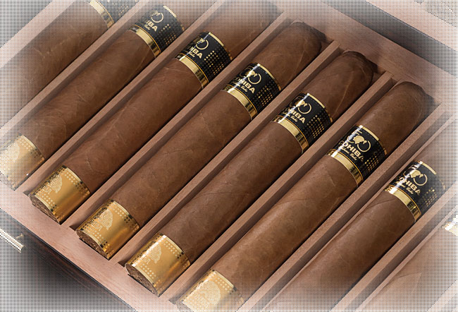 Cohiba 50 Aniversario